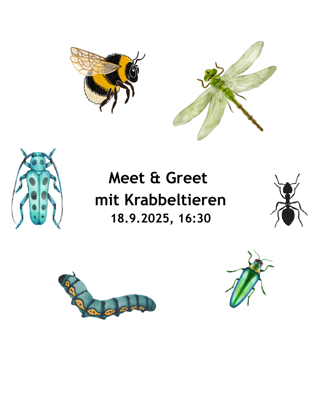 Bunte Tiere (Raupe, Käfer, Hummel) rund um den Text Meet & Greet mit Krabbeltiere 18.9.2025 16:30 Uhr