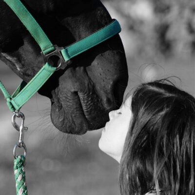 Gesicht einer Frau, das die Nase eines Pferdes berührt. Das ist schwarz und hat grünes Halfter. Die Frau hat lange Haare.
